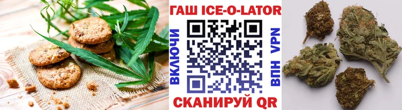 Canna-Cookies марихуана  Элиста 