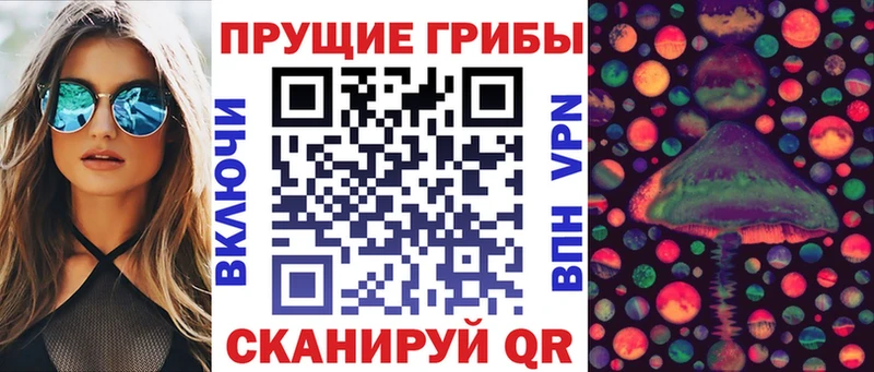 купить закладку  Элиста  Галлюциногенные грибы Psilocybine cubensis 