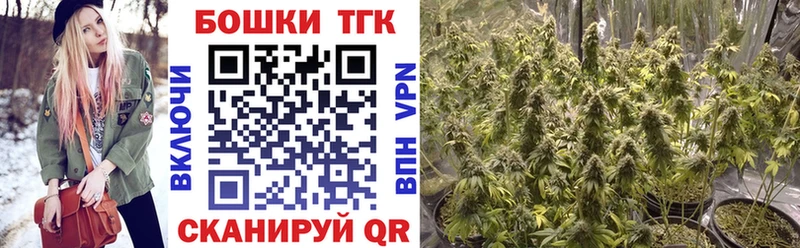 где купить наркотик  кракен ССЫЛКА  даркнет Telegram  Элиста  Бошки марихуана OG Kush 